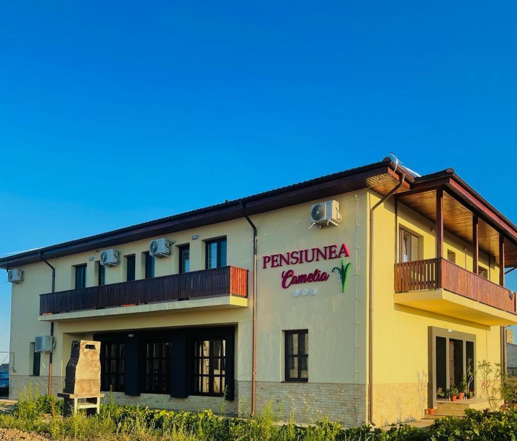 Pensiunea Camelia Baia Exterior foto