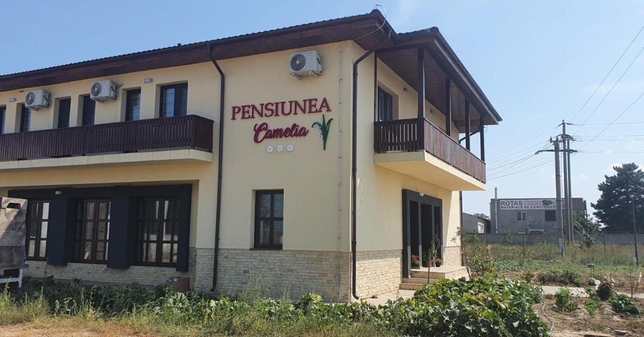 Pensiunea Camelia Baia Exterior foto